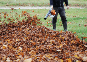 Echo pb-580t vs Husqvarna 350bt: Which Leaf Blower Is Better?