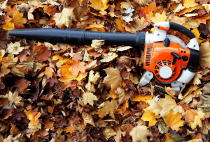 Echo pb-580t vs Husqvarna 350bt: Which Leaf Blower Is Better?