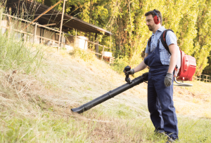 Redmax ebz7500 Review: Is It a Landscaper’s Best Friend?