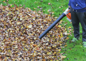 Redmax ebz7500 Review: Is It a Landscaper’s Best Friend?