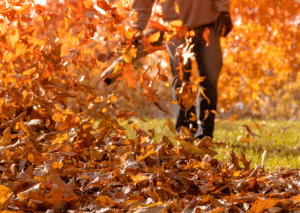 Husqvarna 150bt Review: How Powerful Is It Really?