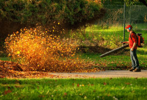 Worx wg510 Review: Is this 3-in-1 Corded Leaf Blower Right for You?