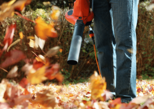 Worx wg510 Review: Is this 3-in-1 Corded Leaf Blower Right for You?