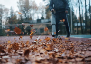 Toro 51621 Review: All the Details You Need