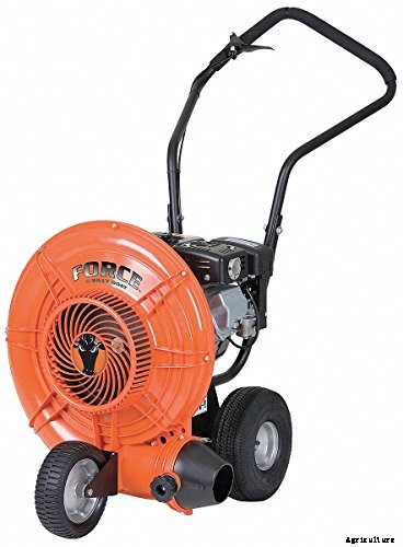 7 Best Walk Behind Leaf Blowers You Can Buy in 2021