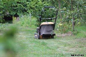 Husqvarna lc121p Lawnmowers: An In-Depth Review of Pros and Cons