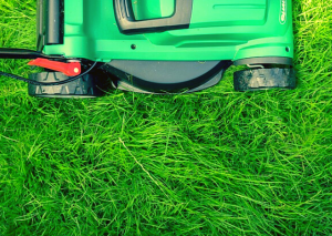 Ego lm2102sp Review: Pros and Cons of this Cordless Electric Lawnmower