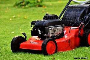 Craftsman m310 Review: How does this mower compare to other gas mowers?
