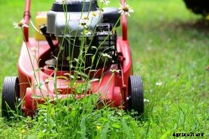 Craftsman m310 Review: How does this mower compare to other gas mowers?