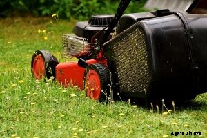 Craftsman m310 Review: How does this mower compare to other gas mowers?