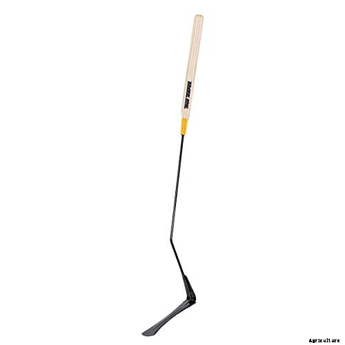 5 Best Tool for Cutting Tall Grass in 2021