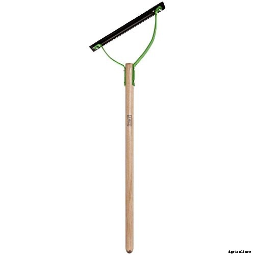 5 Best Tool for Cutting Tall Grass in 2021