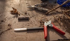 Best Grafting Knife to Go for Various Purposes