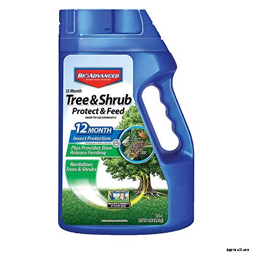 4 Best Fertilizers for Oak Trees | A Buyers’ Guide