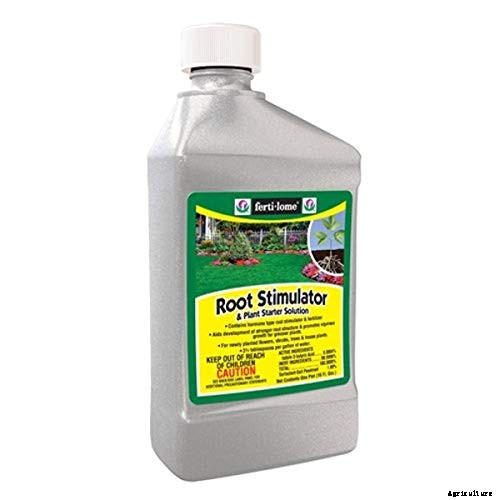 4 Best Fertilizers for Oak Trees | A Buyers’ Guide