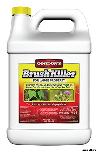 9 Best Brush Killer on the Market You Can Buy in 2021