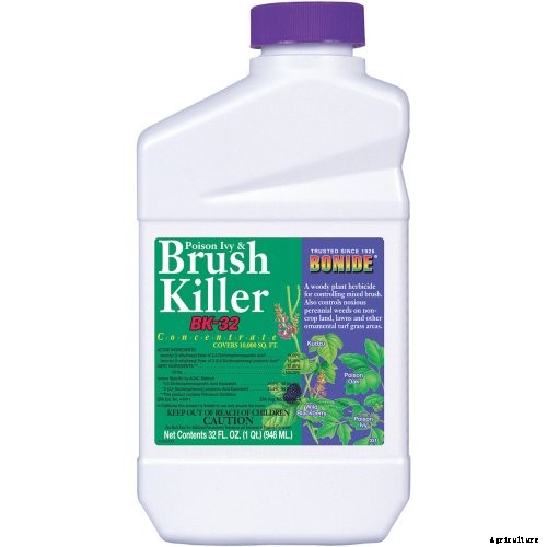 9 Best Brush Killer on the Market You Can Buy in 2021