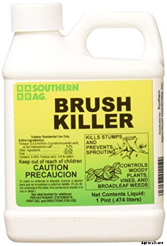 9 Best Brush Killer on the Market You Can Buy in 2021