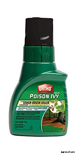 9 Best Brush Killer on the Market You Can Buy in 2021