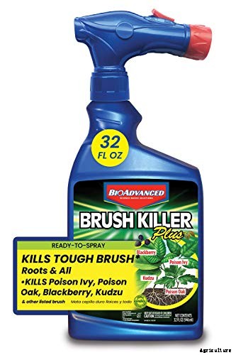 9 Best Brush Killer on the Market You Can Buy in 2021