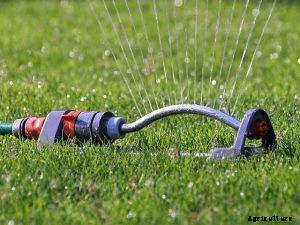 Best Sprinkler for Small Lawn Irrigation | 2021 Reviews