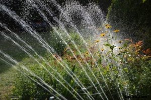 Best Sprinkler for Small Lawn Irrigation | 2021 Reviews