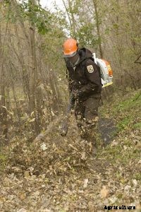 Stihl BR 600 Review – Powerful, Gasoline-Powered Backpack Blower
