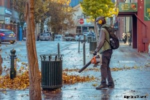 Stihl BR 600 Review – Powerful, Gasoline-Powered Backpack Blower