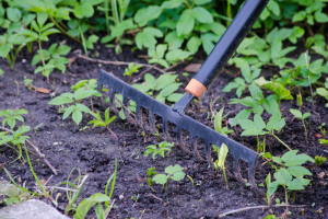 Best Pitchfork for Mulch — Top Products on the Market