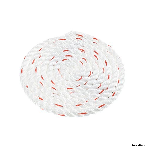 Best Rope for Pulling Trees – Our Top 5 Choices