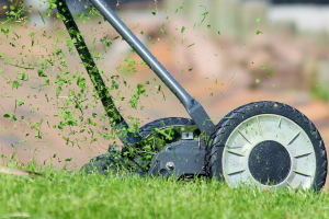 The Best Commercial Zero Turn Mowers