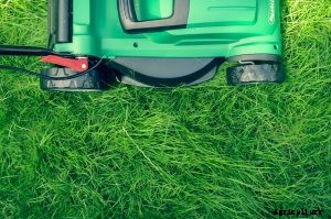 A Husqvarna z248f Review of Performance and Buyer Feedback