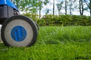 Reviewing the Husqvarna YTA24V48 Ride-On Lawnmower