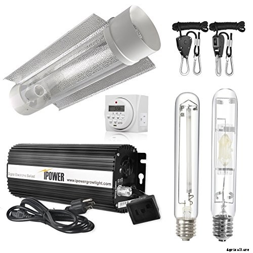 HID Grow Lights – A Buyer’s Guide