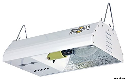 HID Grow Lights – A Buyer’s Guide