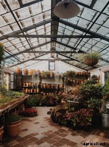 HID Grow Lights – A Buyer’s Guide