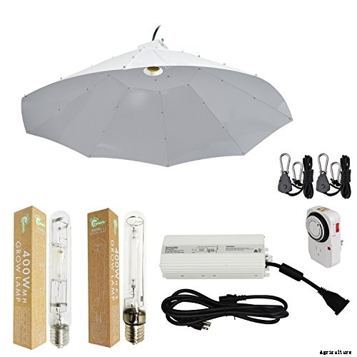 HID Grow Lights – A Buyer’s Guide