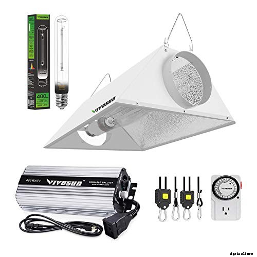 HID Grow Lights – A Buyer’s Guide