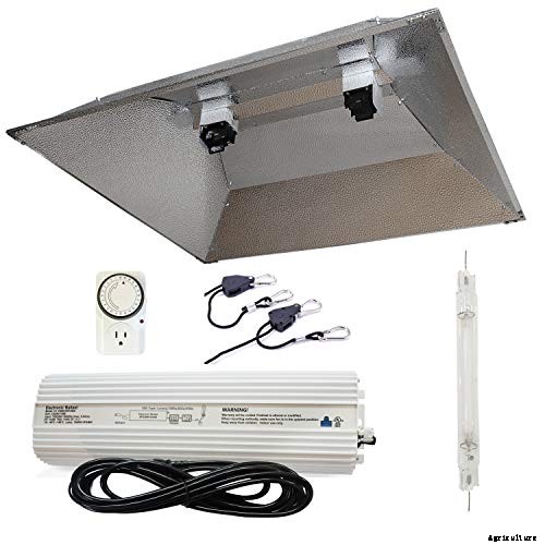 HID Grow Lights – A Buyer’s Guide