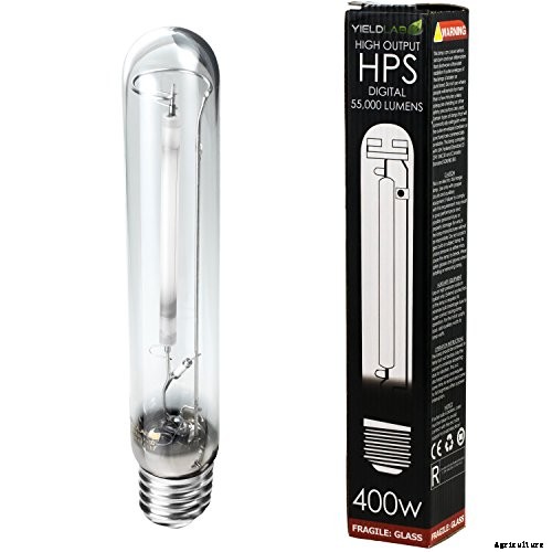 HID Grow Lights – A Buyer’s Guide