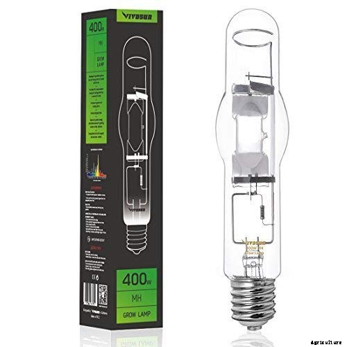 HID Grow Lights – A Buyer’s Guide