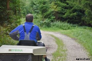 Finding the Best Riding Mower for Small Yard and Lawn Maintenance