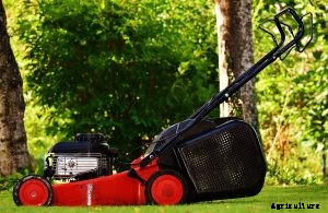 5 Best Mowers for Uneven Ground