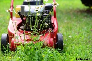 5 Best Mowers for Uneven Ground
