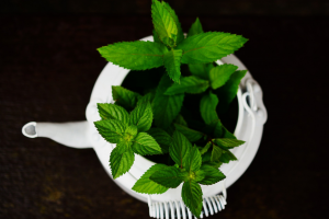 Mint Flowers: Uses and Care Guide