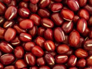 Growing Adzuki Beans in Your Garden