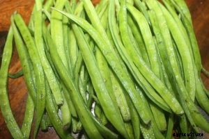 Growing Guar Beans at Home