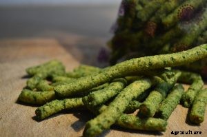 Ancient Amaranth: Summers Edible Flowering Plant