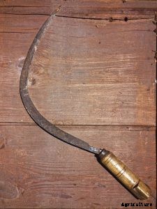 Scythe vs Sickle – Which One is The Better?