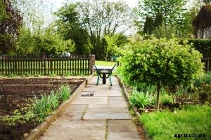 How To Get Rid of Weeds in Rock Landscaping | 101 Guide